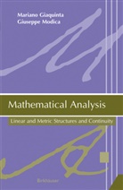 Marian Giaquinta, Mariano Giaquinta, Giuseppe Modica - Mathematical Analysis