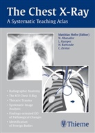 Matthias Hofer, Abanado, Abanador, N Abanador, Kamper et al, Hofe... - Chest X-ray Trainer