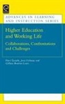 Gillian Boulton-Lewis, Paivi Tynjala, Jussi Valimaa - Higher Education and Working Life