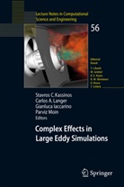Gianluca Iaccarino, Gianluca Iaccarino et al, Stavros Kassinos, Stavros C. Kassinos, Carlo Langer, Carlos Langer... - Complex Effects in Large Eddy Simulations
