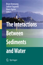 Jadra Faganeli, Jadran Faganeli, Brian Kronvang, Nives Ogrinc - The Interactions Between Sediments and Water