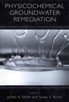 Jame A Smith, James A Smith, Susan E. Burns, E Burns, E Burns, James A. Smith - Physicochemical Groundwater Remediation