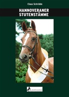 Claus Schridde - Hannoveraner Stutenstämme