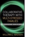 Peter Fraenkel, Rachel T. Hare-Mustin, William C. Madsen, Andrew Turnell, Froma Walsh - Collaborative Therapy with Multi-Stressed Families, Second Edition