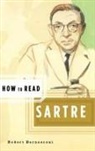Robert Bernasconi, Simon Critchley - How to Read Sartre