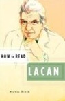 Slavoj I. Ek, Zi&amp;, Slavoj Zizek, Simon Critchley - How to Read Lacan