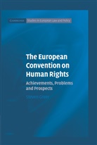 Steven Greer, Laurence Gormley, Jo Shaw - European Convention on Human Rights