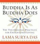 Lama Surya Das - Buddha Is As Buddha Does (Audio book)