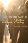 Thomas O'Meara, Thomas F O'Meara, Thomas F. O'Meara - God in the World