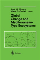 C Oechel, C Oechel, Jos Moreno, Jose Moreno, Walter C. Oechel - Global Change and Mediterranean-Type Ecosystems