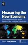 Teun Wolters - Measuring the New Economy