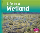 Carol K. Lindeen - Life in a Wetland