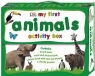 Not Available (NA), Dk Publishing - My First Words Activity Box