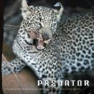 David Reesor, Mark Ross, Mark C. Ross - Predator