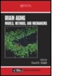 David R. Riddle, David R. (Wake Forest University Riddle, RIDDLE DAVID R, David R. Riddle, David R. (Wake Forest University Riddle, Riddle David R. - Brain Aging