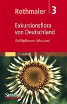 Eckehart J. Jäger, Eckehart Johannes Jäger, Klaus Werner - Exkursionsflora von Deutschland - Bd.3: Gefäßpflanzen, Atlasband
