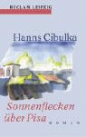 Hanns Cibulka - Sonnenflecken über Pisa