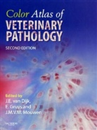 Jaap E. van Dijk, Erik Gruys, Johan M. Mouwen, Johan M. V. M. Mouwen, John Mouwen, Jaap Van Dijk... - Color Atlas of Veterinary Pathology, 2nd Edition