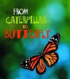 Anita Ganeri - From Caterpillar to Butterfly