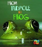 Anita Ganeri - From Tadpole to Frog