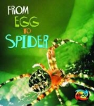 Anita Ganeri - From Egg to Spider