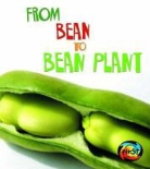 Anita Ganeri - From Bean to Bean Plant