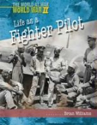 Brian Williams - Life As a Fighter Pilot