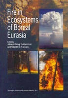 Furyaev, Furyaev, Valentin Furyaev, Valentin V. Furyaev, Johan Georg Goldammer, Johann Georg Goldammer... - Fire in Ecosystems of Boreal Eurasia