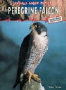 Mike Unwin - Peregrine Falcon