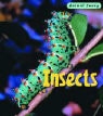 Rod Theodorou - Insects