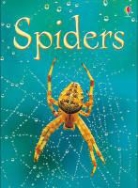 Rebecca Gilpin, Gilpin Rebecca, VARIOUS - Spiders