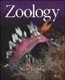 John P. Harley, Stephen Miller, Stephen A. Miller, Stephen A./ Harley Miller, Miller Stephen - Zoology