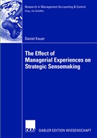 Daniel Kauer, Utz Schäffer - The Effect of Managerial Experiences on Strategic Sensemaking