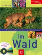 Eckart Pott - Im Wald, m. Audio-CD