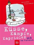 Harald Gebhardt, Mario Ludwig - Küsse, Kämpfe, Kapriolen