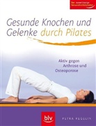 Petra Regelin - Gesunde Knochen und Gelenke durch Pilates