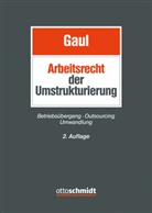 Charlotte Beck, Charlotte (RAin Beck, Ph Bollacher, Philipp Bollacher, Andrea Bonanni, Gerrit Forst... - Arbeitsrecht der Umstrukturierung