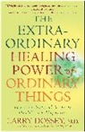 Larry Dossey - Extraordinary Healing Power of Ordinary Things