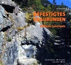 Peter Baumgartner, Hans Stäbler, Peter Baumgartner - Befestigtes Graubünden