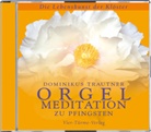 Dominikus Trautner - Orgelmeditation zu Pfingsten, 1 Audio-CD (Hörbuch)