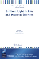 Vasil Tsakanov, Vasili Tsakanov, WIEDEMANN, Wiedemann, Helmut Wiedemann - Brilliant Light in Life and Material Sciences