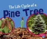 Linda Tagliaferro, Gail Saunders-Smith - The Life Cycle of a Pine Tree
