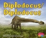 Janet Riehecky, Gail Saunders-Smith - Diplodocus/Diplodocus