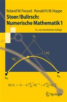 Freun, Roland Freund, Roland W (Prof. Dr. Freund, Roland W (Prof. Dr.) Freund, Roland W. Freund, Hoppe... - Numerische Mathematik. Bd.1