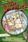Dave Keane, Dave Keane - Joe Sherlock, Kid Detective, Case 000005: The Art Teacher s