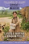 Maria D Wilkes, Maria D. Wilkes - Little House in Brookefield