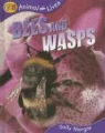 Sally Morgan - Bees and Wasps