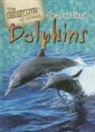 Julia Barnes - The Secret Lives of Dolphins