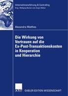 Alexandra Matthes - Die Wirkung von Vertrauen auf die Ex-Post-Transaktionen in Kooperation und Hierarchie