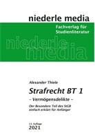 Alexander Thiele, Alexander (Dr.) Thiele - Strafrecht BT 1 - 2021 - Vermögensdelikte